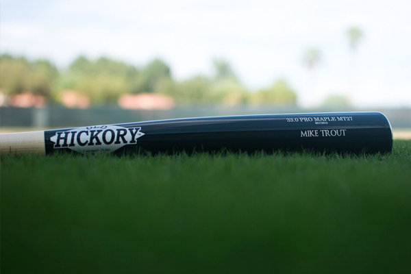 Stock Bats – tagged 