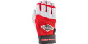 Team Classic Batting Gloves